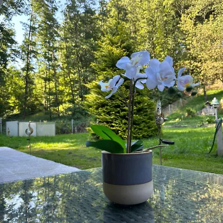 Apartment Poestlingbergoase *